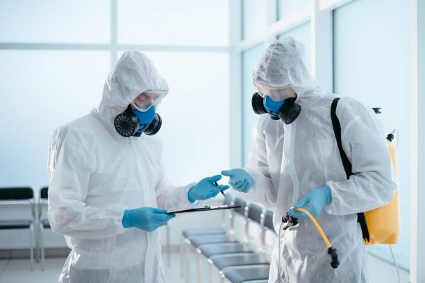team of professional disinfector discussing the work done